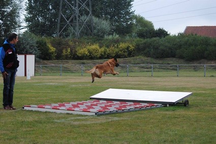 photo de Dakota saut du foss