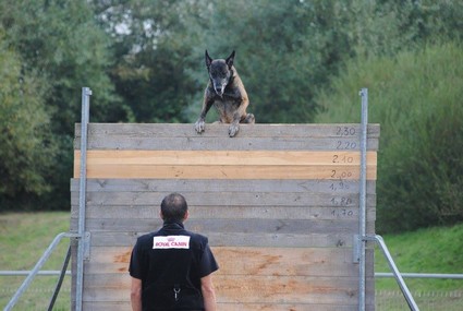 photo de Gaby saut retour de la palissade