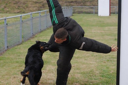 photo de Guizmo sortie de cachette 