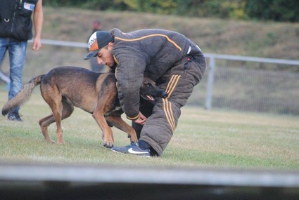 photo d'Hooligan la ddense 
