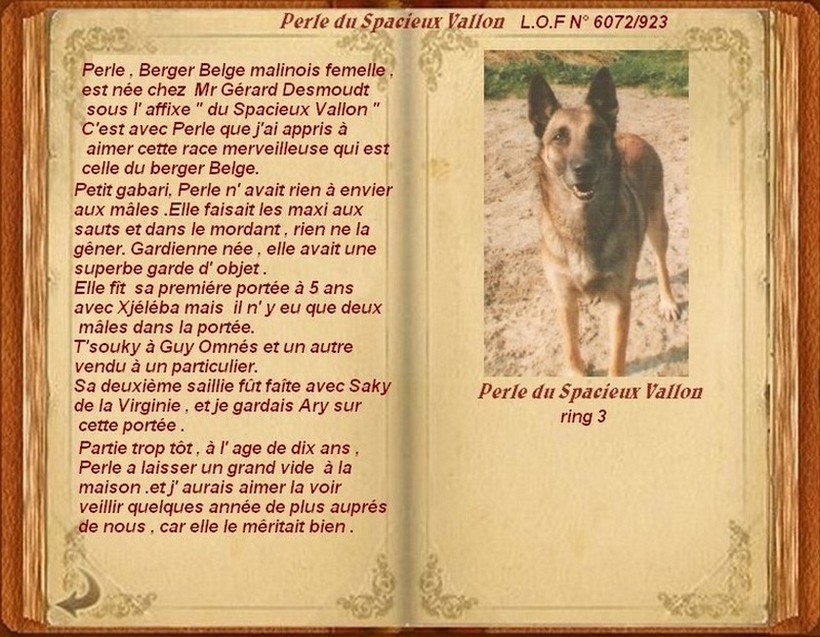 perle