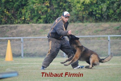 photo de tibo